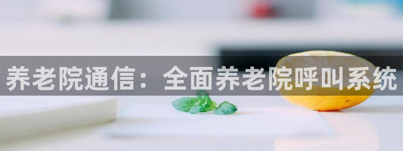 韦德网站是多少