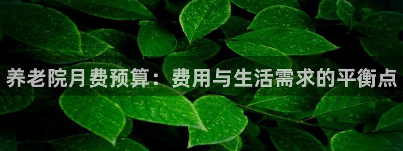 韦德网址是多少