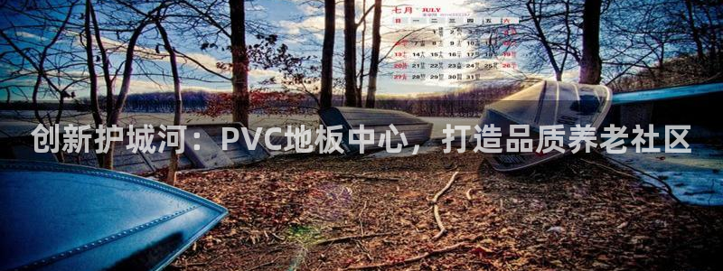 韦德是哪一届