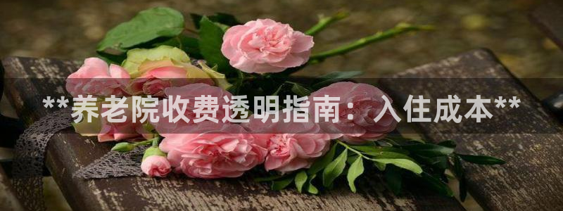 韦德网址是多少
