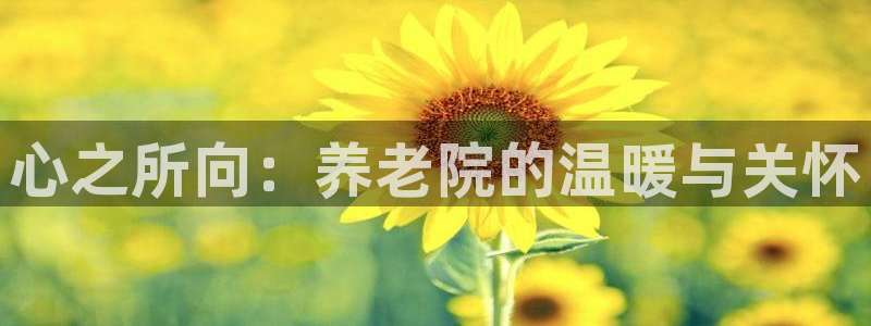 1946 韦德