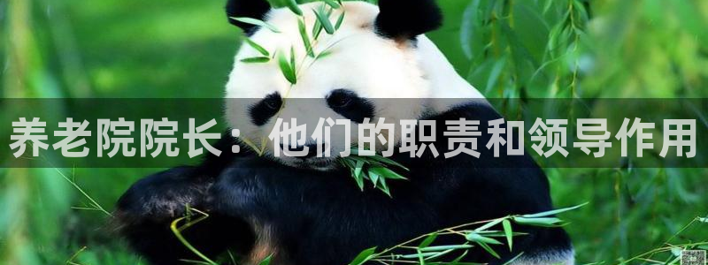 韦德betvictor