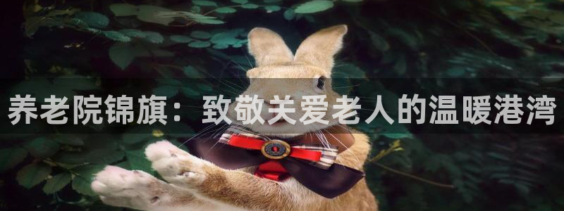 韦德com