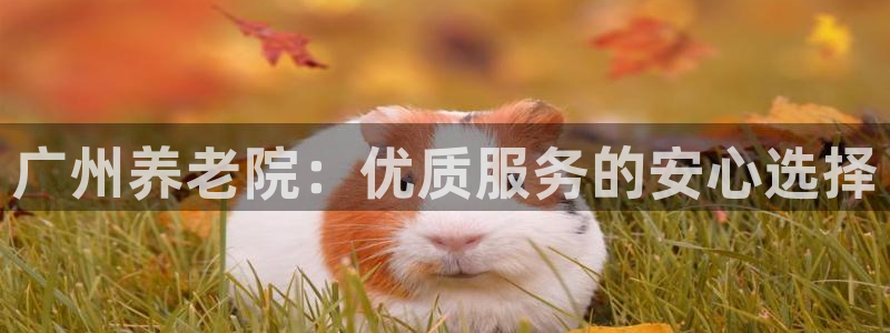 韦德全系列