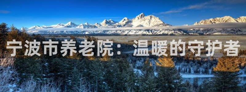 韦德官网在线