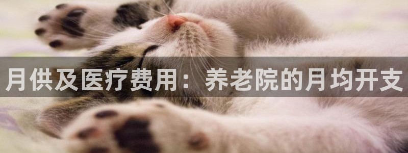 韦德 网站