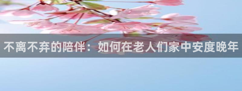 韦德网址