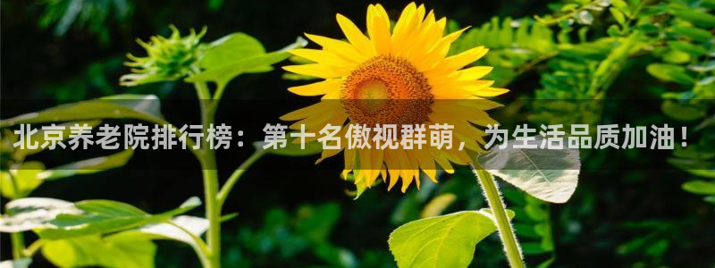 韦德 网站
