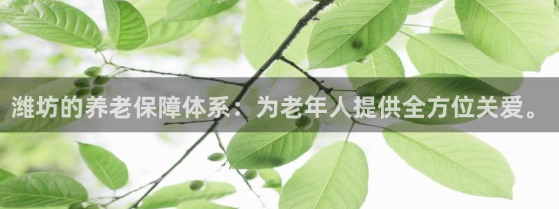 韦德2014