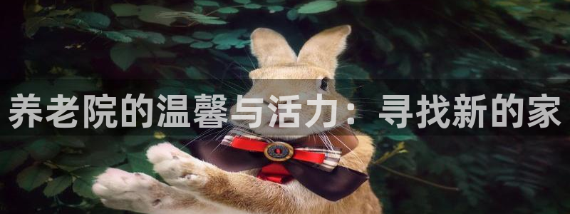 韦德com