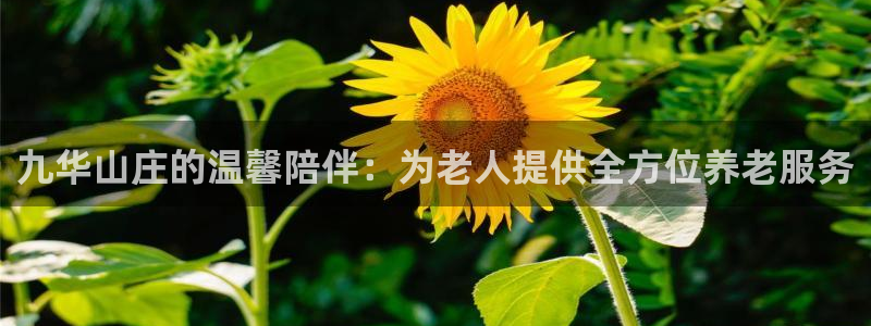 韦德官方下载