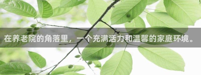 韦德1946官网