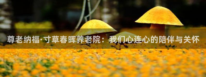 韦德1946娱乐手机版