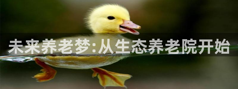 韦德app手机下载