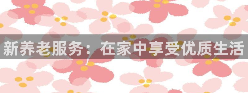 韦德网站是多少