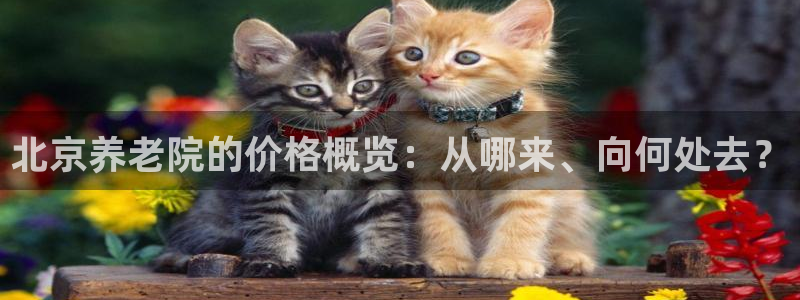 韦德app手机下载
