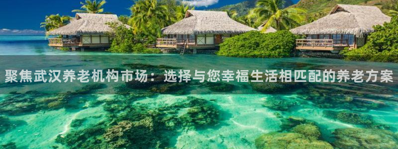 韦德1946网址