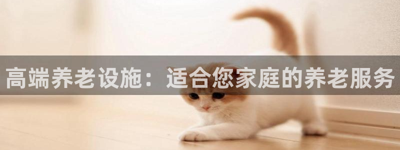 韦德游戏是什么