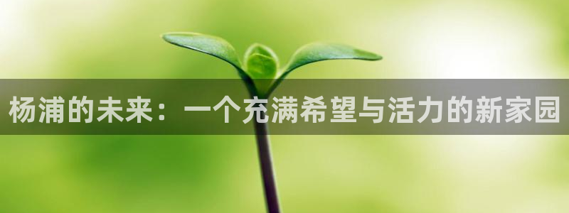 韦德betvlctor1946