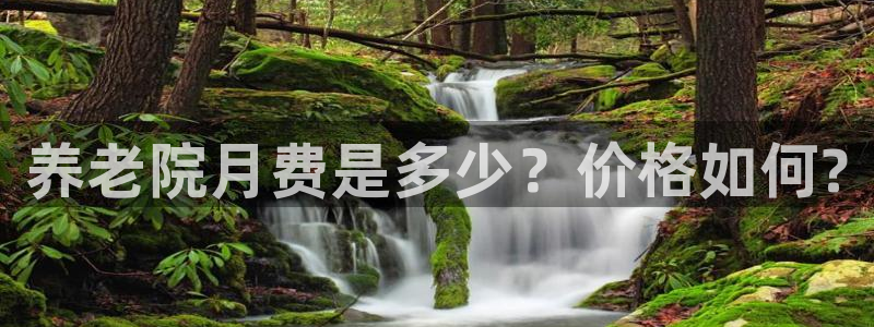 韦德网站是多少