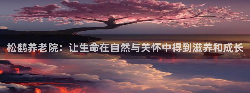 韦德观战总决赛G3