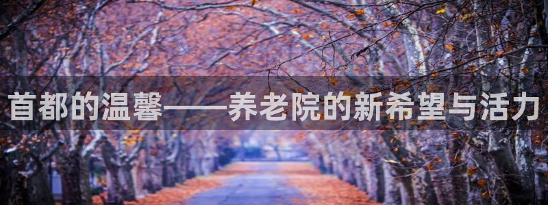 1946韦德官方网站