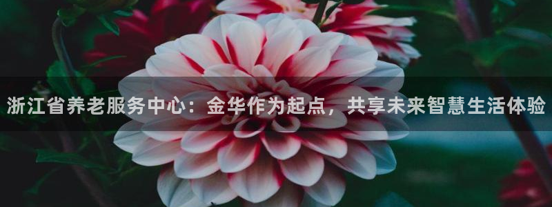 韦德1946官网最新版