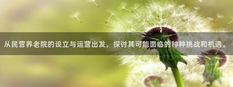 韦德1946国际