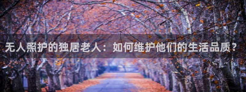 韦德1946手机