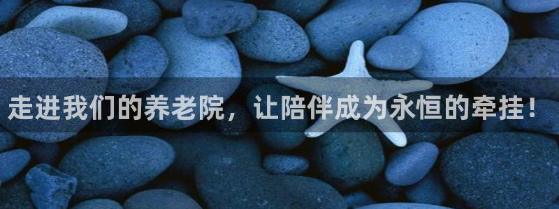 韦德 网址