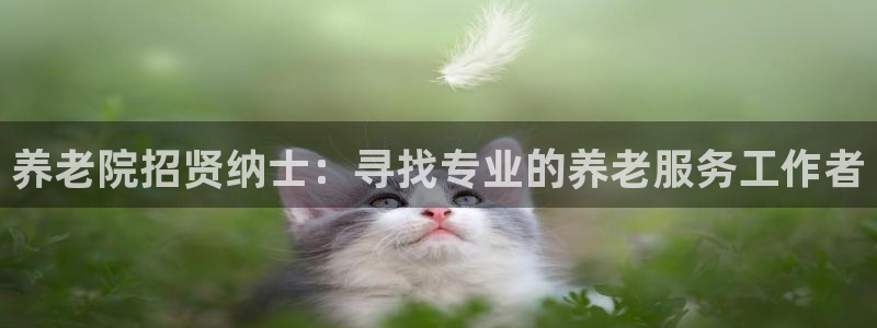 韦德bietview官网
