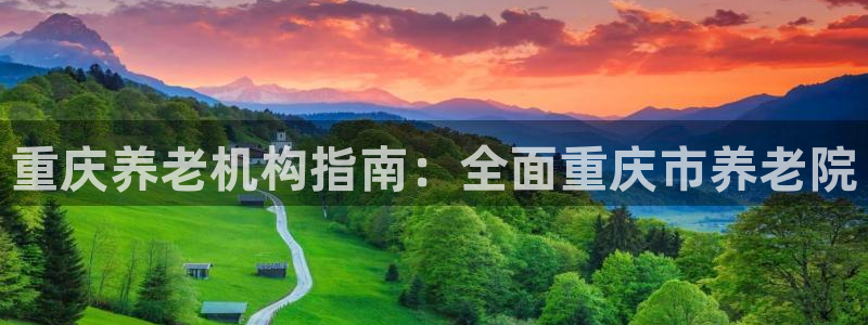 韦德网址