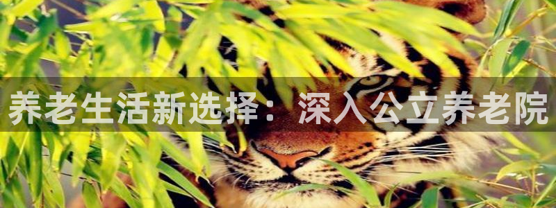 韦德游戏注册是搞什么的