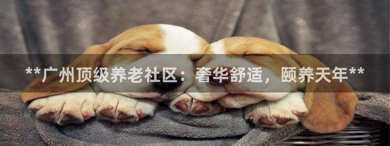 韦德注册手机版