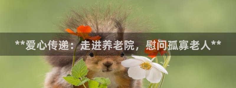 韦德官网注册推荐网站是什么