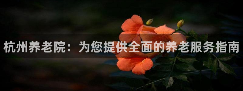 韦德游戏注册需要什么