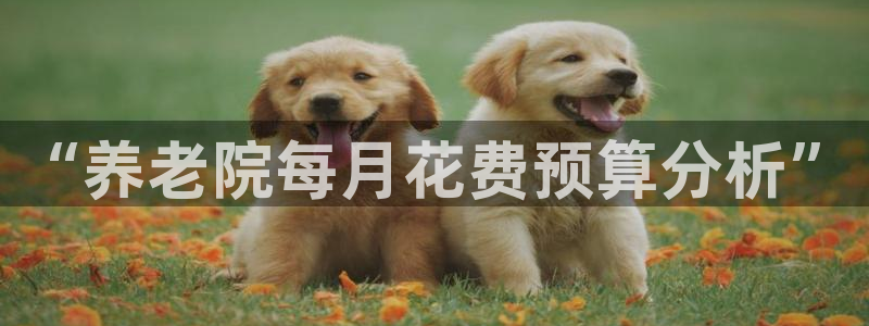 韦德注册手机版