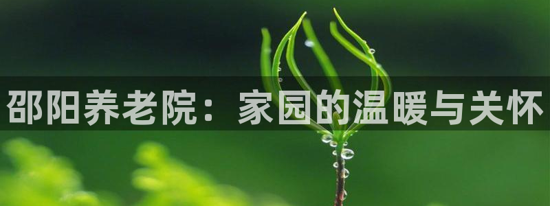 韦德1946源自英国