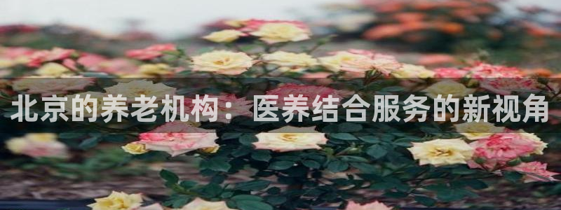 韦德1946始于英国