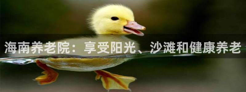 韦德游戏是什么