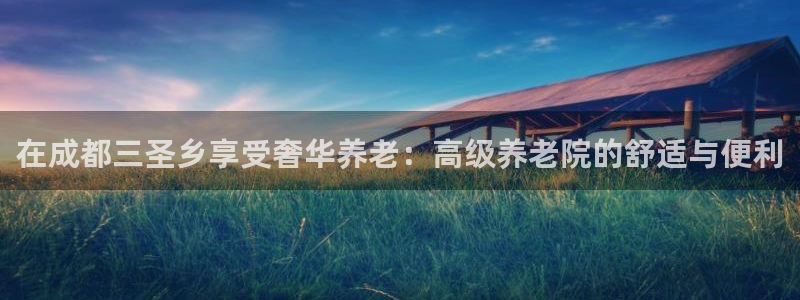 韦德观战总决赛G3